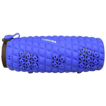 Toshiba Беспроводная колонка TY-WSP80-BL, 1000mAh, 8ч, Bluetooth 4.1, водонепроницаемая, силиконовый чехол (TY-WSP80-BL)