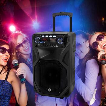Manta Караоке колонка SPK5021PRO, 80 W, 12 дюймов, 2x входа для микрофона, Bluetooth, FM радио, 5 ч воспроизведения (SPK5021PRO)