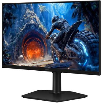 Samsung Odyssey G4 G40H LS25HG402EUXEN, 25
