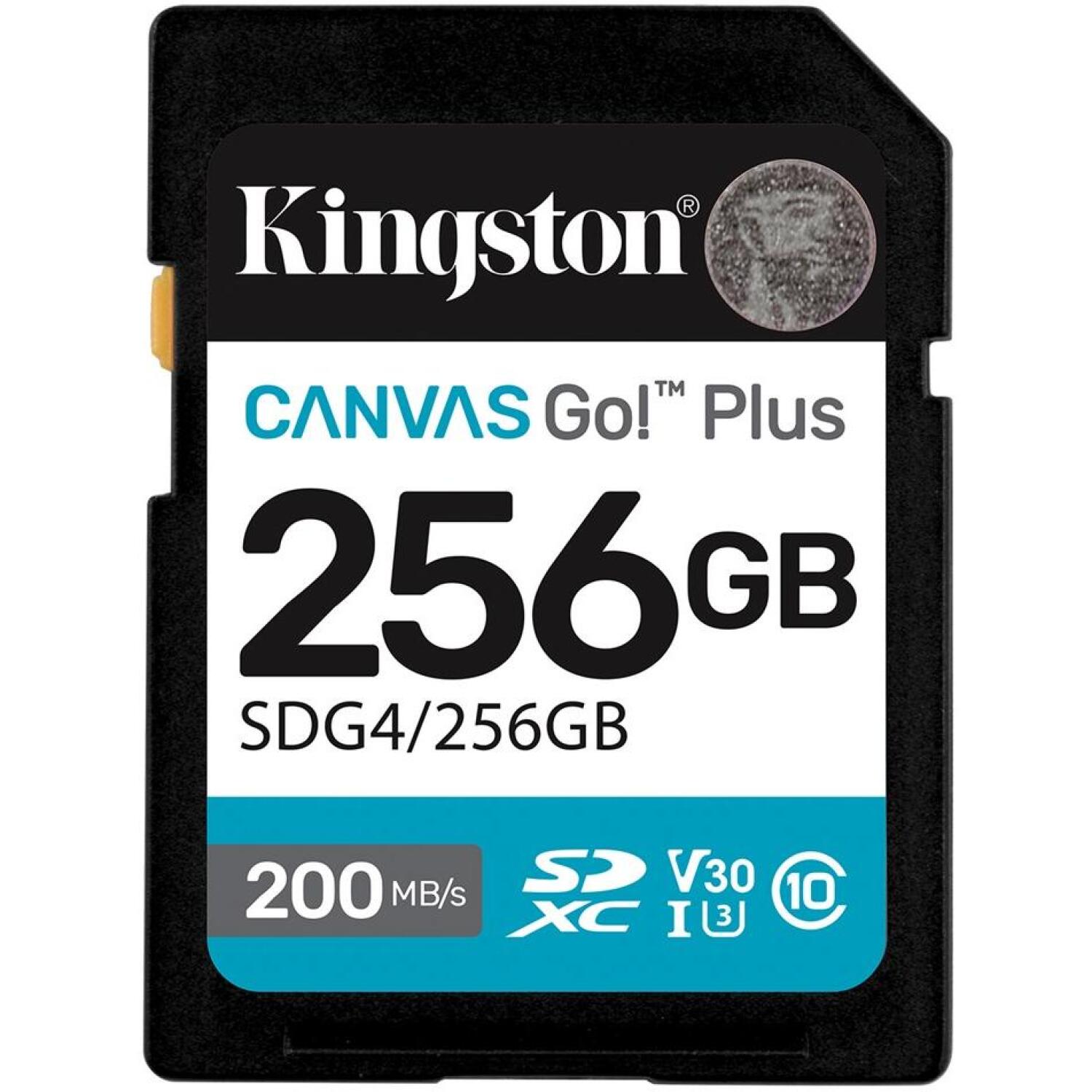 Kingston Корпус SDXC SDG4/256GB, 256 ГБ, 200 МБ/с, C10, UHS-I, U3, V30 (SDG4/256GB)