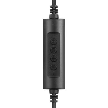 Sandberg USB-C офисные наушники 126-46, 110 г, 32 Ω, 20 - 20000 Гц, 2 м, USB Type C, бинауральные, регулируемая дужка (126-46)