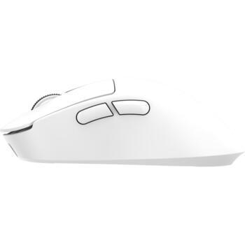 White Shark Мышь GAWAIN-W, 500mAh, 12000DPI, 56g, 5 кнопок, зарядка USB-C, Bluetooth 5.2, RF 2.4 GHz (GAWAIN-W)
