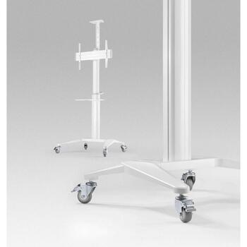 Gembird TVS-70T-02-W, 37-70'', VESA 600x400mm, регулируемая подставка, 2157mm глубина, 890mm ширина, 760mm высота (TVS-70T-02-W)