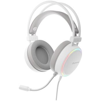 Genesis Austiņas NSG-2308, 3.5 mm, USB-A, 32Ω, -42dB, 2.2m, RGB apgaismojums, pār-auss (NSG-2308)