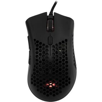 Baracuda CORAL-B BGM-031,l Black (CORAL-B)