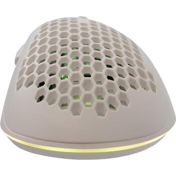 Baracuda CORAL-W BGM-032, White (CORAL-W)
