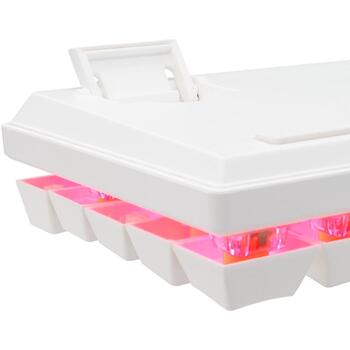 Baracuda DOLPHIN-W-RED BGK-03211, 61 клавиша, USB, механические красные переключатели, подсветка (DOLPHIN-W-RED)