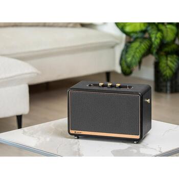 Tracer Портативная колонка TWS TRAGLO47248, 45W, Bluetooth 5.0, FM радио, 2 колонки, аккумулятор, черный (TRAGLO47248)