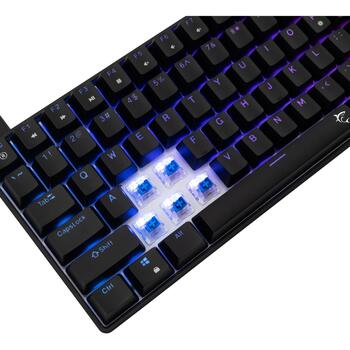 White Shark Клавиатура HAMACHI-B-US, механическая, 0.69кг, 84 клавиши, 1.8м USB кабель, RGB подсветка, синие переключатели (HAMACHI-B-US)