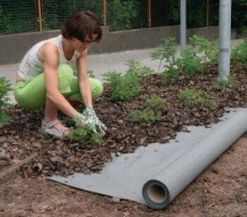 Геотекстиль GEOTEX STARKEDACH 2x50m 105050.2 (105050.2)
