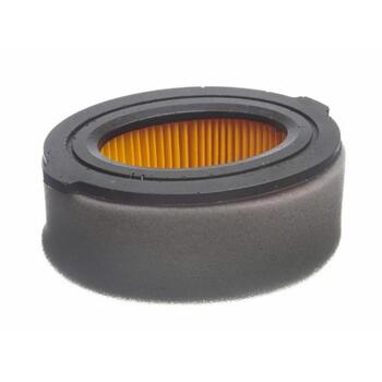 MTD Воздушный фильтр 751-10794 OPTIMA PS 700, 0.097 кг, аналог MTD751-14262, SA12962, 100011661 (751-10794)