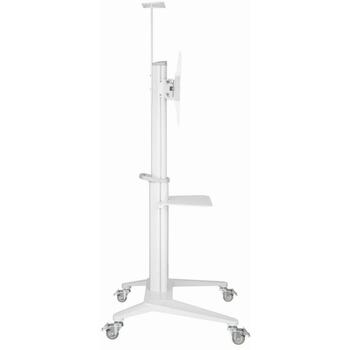 Gembird TVS-70T-02-W, 37-70'', VESA 600x400mm, регулируемая подставка, 2157mm глубина, 890mm ширина, 760mm высота (TVS-70T-02-W)
