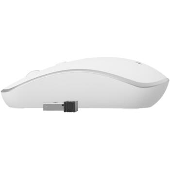 Gembird USB datorpele MUSW-4B-06-WS, 4 pogas, 1600 DPI, RF bezvadu, ergonomisks dizains, akumulators AA (MUSW-4B-06-WS)