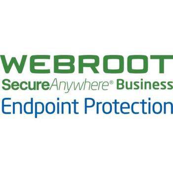 Webroot Защита конечных точек для бизнеса с консолью GSM 112260011B, 1 год, 10-99 пользователей, подписка (112260011B)