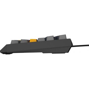 Genesis Thor 230 TKL mehāniskā spēļu klaviatūra NKG-2163, 87 taustiņi, Outemu Panda, RGB LED, 3000 mAh, USB Type-C, 2.4 GHz (NKG-2163)