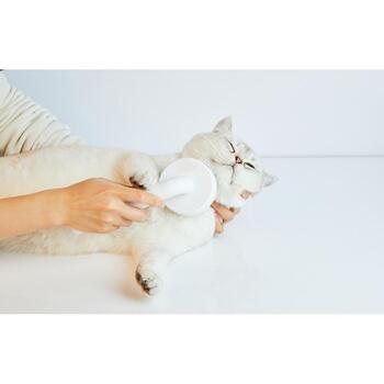 Petkit щетка для собак и кошек Grooming 2, 19x8.5x6.2cm, белая, универсальная, металлические иглы (PK414)