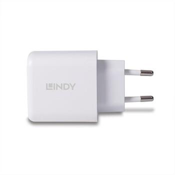 Lindy зарядное устройство 73428 65W, 100-240V, 20V, 2 USB порта, быстрая зарядка, защита от перегрузки, белый (73428)