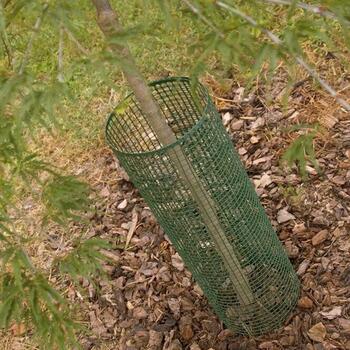 QUADRA 10 plastmasas siets, 1x10m, zaļš 1A100301 (1A100301)