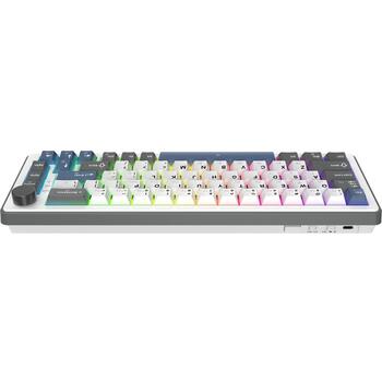 White Shark EXCALIBUR M GK-009251, механическая клавиатура 67 клавиш, 65%, линейные переключатели, hot-swap, 3 режима, RGB (EXCALIBUR-M-W-US)