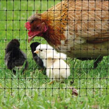 Pret kurmju tīkls TENAX AVIARY 50 g/m2 2 x 200m 1A030355 (cena par m2) (1A030355)