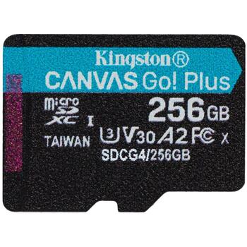 Kingston Карта SDCG4/256GB, 256GB, 200MB/s, A2, U3, V30, Class 10, UHS-I, exFAT, SD адаптер (SDCG4/256GB)