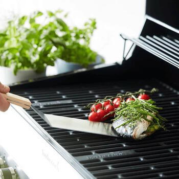 Barbecook Лопатка для рыбы FSC, 37 см, BC-ACC-7125, 37 см, 6 шт, серебристый, сертифицировано FSC (BC-ACC-7125)