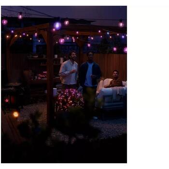 Philips Hue Festavia Globe удлинитель уличной гирлянды, 14м, 30Вт, 20 ламп, 50 лм, IP65, Zigbee, черный (8721103062857)