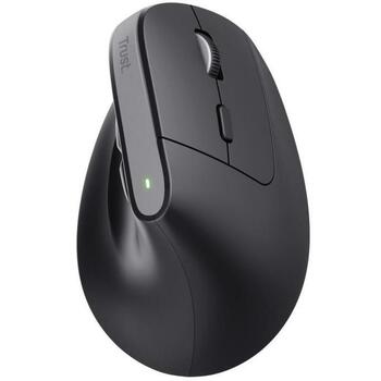 Trust Bayo+ 25146, 2400 DPI, 6 кнопок, эргономичная, беспроводная, USB микро приемник, перезаряжаемая батарея (25146)