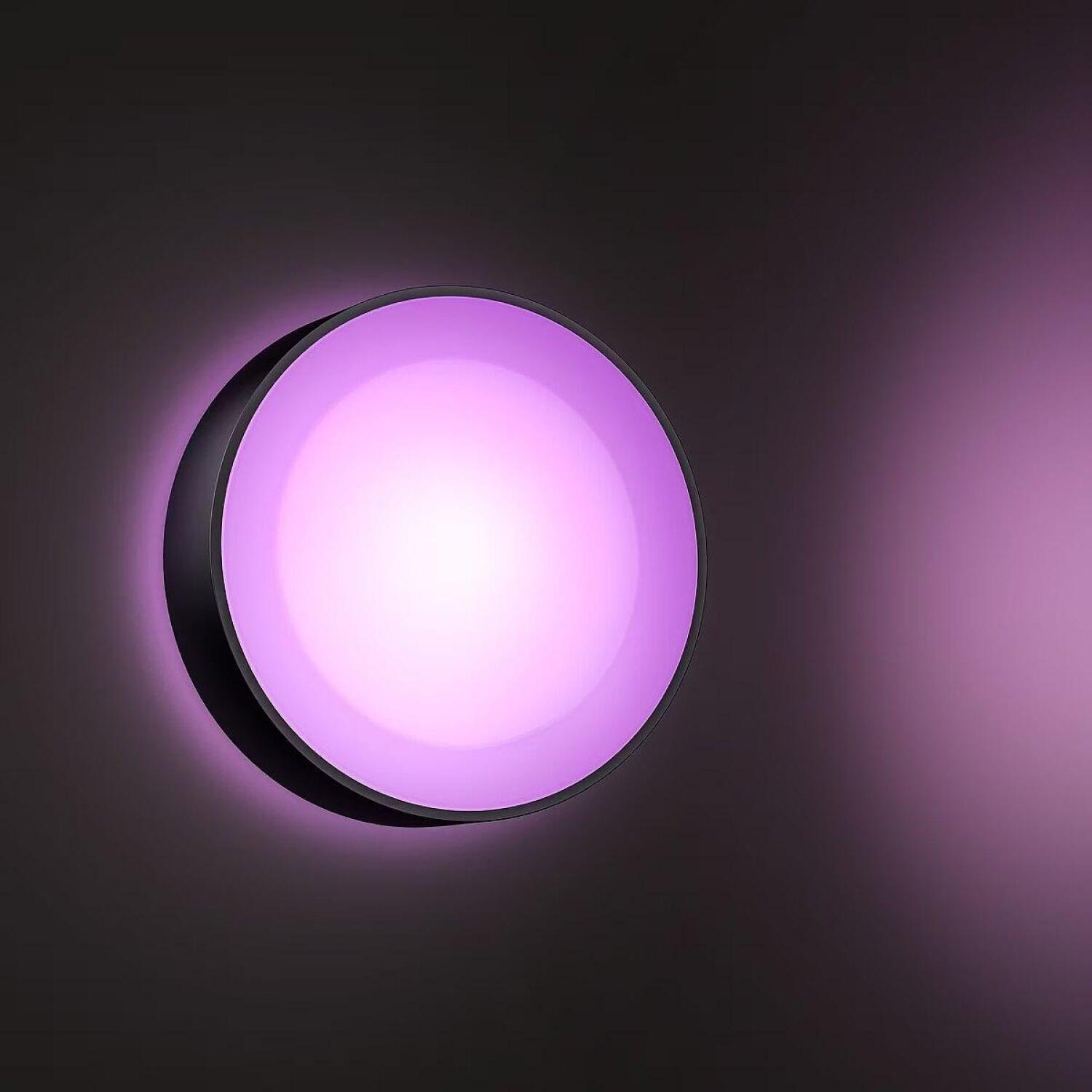 Philips Hue Уличный настенный светильник Daylo 8718696174401, 15Вт, 1060лм, 2000-6500К, IP44, LED, черный, диммируемый (8718696174401)