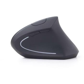 Gembird USB оптическая беспроводная мышь MUSW-ERGO-01, 1600 DPI, 6 кнопок, RF беспроводная, эргономичный дизайн, батарея AA (MUSW-ERGO-01)