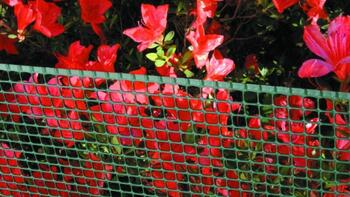 QUADRA 10 plastmasas siets, 1x10m, zaļš 1A100301 (1A100301)
