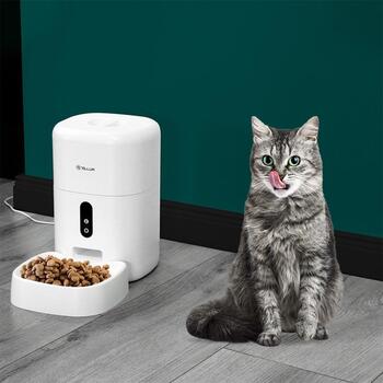Tellur Smart WiFi Barības trauks TLL331461, 4L, 2mm ~ 10mm, līdz 10 porcijām, Ultra HD 2304x1296, nakts redzamība (TLL331461)