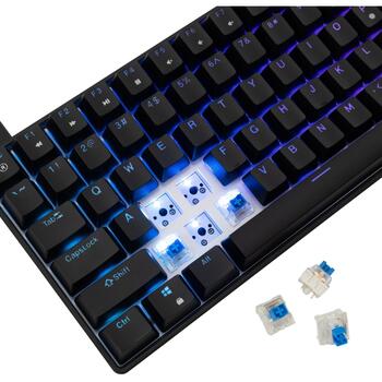 White Shark Клавиатура HAMACHI-B-US, механическая, 0.69кг, 84 клавиши, 1.8м USB кабель, RGB подсветка, синие переключатели (HAMACHI-B-US)