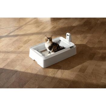 Petkit Purobot Crystal Duo с камерой, P9905, 5.65кг, 0.07м3, AI камера, самоочистка, двустороннее сгребание (P9905)