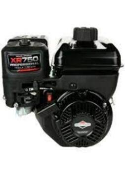 Dzinējs XR750 163cc 1062320272 BRIGGS & STRATTON (1062320272)
