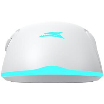 Baracuda Pele TURTLE-W BGM-122, 3200 DPI, 6 pogas, 95 g, bezvadu, RF 2.4 GHz, apgaismojums (TURTLE-W)