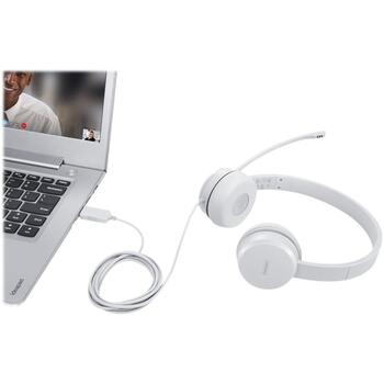 Lenovo USB наушники 110 GXD1E71385, 1.8м, 32Ω, 116dB, USB Type-A, микрофон с держателем, стереозвук (GXD1E71385)