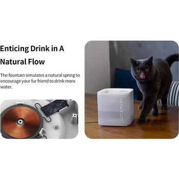 Petkit Умный поилкa для домашних животных Eversweet Solo P4103S White, 1.8 L, Фильтрация, Пластик, Белый (P4103S White)