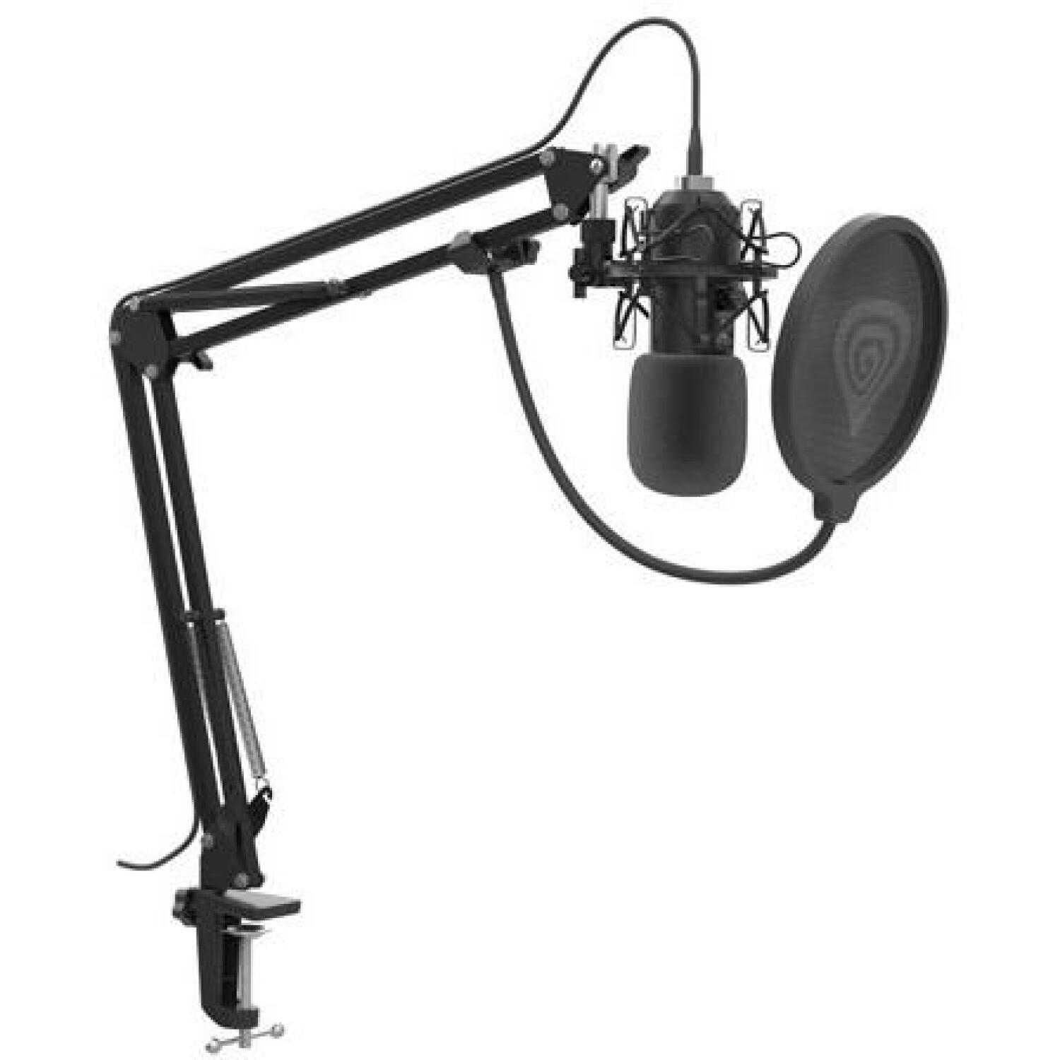 Genesis студийный микрофон Radium 400 G2 NGM-2285, USB, -29 dB, 20 - 20000 Hz, 192 kHz, 24 бит, кардиоида, металл (NGM-2285)