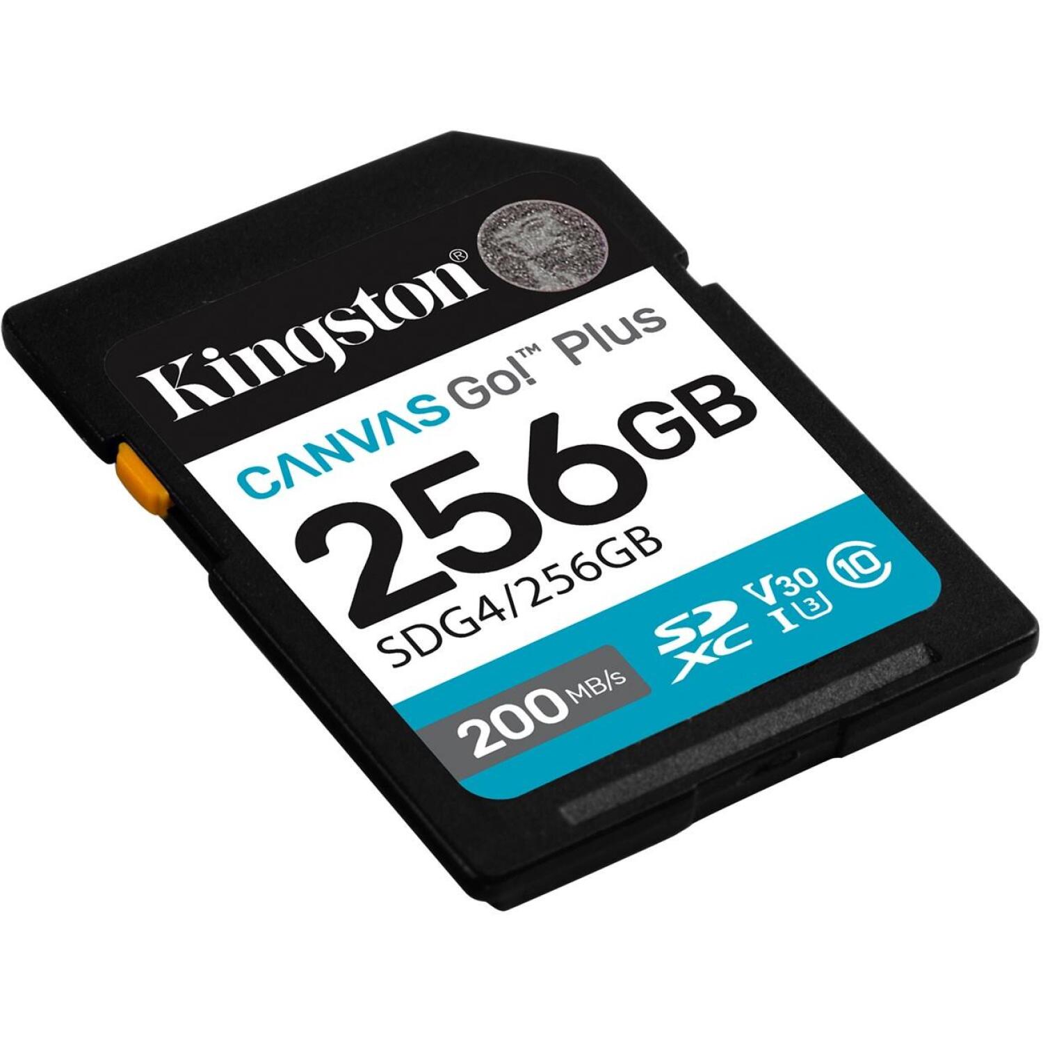 Kingston Корпус SDXC SDG4/256GB, 256 ГБ, 200 МБ/с, C10, UHS-I, U3, V30 (SDG4/256GB)