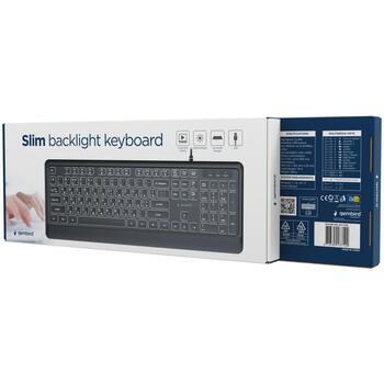 Gembird клавиатура KB-UML-04-CYRL, 1.8м, USB A+C, белая подсветка, 12 мультимедийных клавиш (KB-UML-04-CYRL)