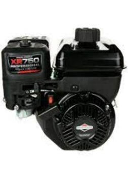 Dzinējs XR750 163cc 1062320272 BRIGGS & STRATTON (1062320272)