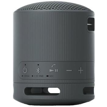 Sony Динамик SRS-XB100 КОД, 9.5см, 7.6см, 16ч, Bluetooth 5.3, Водонепроницаемый, Портативный, Аккумулятор (SRSXB100B.CE7)