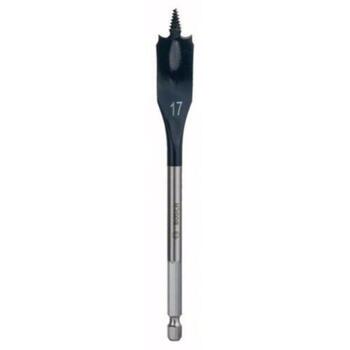 Spalvurbis ar centējošo smaili 17*152mm; 3165140353038 BOSCH (2608595488)