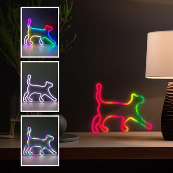 Manta Neona gaismas SNL60RGB, 5W, 5V, 2m barošanas vads, 16 krāsas, bezvadu tālvadība, spilgtuma regulēšana (SNL60RGB)