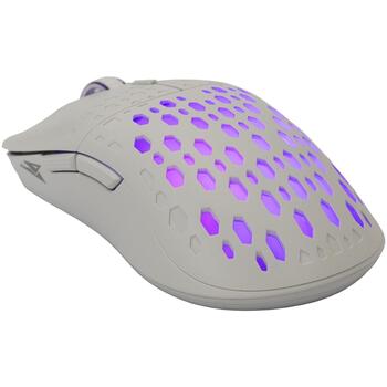 Baracuda OCTOPUS BGM-022, White (OCTOPUS)
