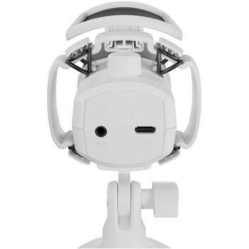 Genesis Radium 250 NGM-2353, kondensatora mikrofons, USB-C, -40 dB, 50-16 kHz, kardiīds, RGB, trokšņu samazināšana (NGM-2353)