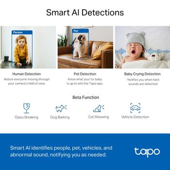 Tapo C220 Pan/Tilt AI камера безопасности Wi-Fi, TP-Link, Tapo C220, 4 MP, 4mm/F2.0, H.264, Micro SD до 512GB (TAPOC220)