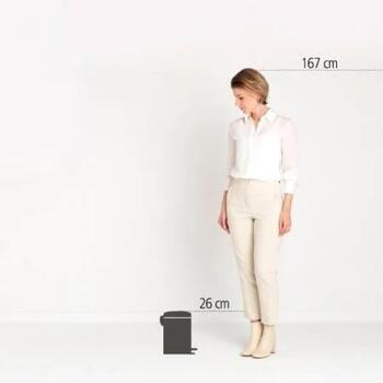 Brabantia NewIcon 113321 ведро с педалью, 3 л, 16,8 см, 26,4 см, нержавеющая сталь, тихое закрывание, защита от запахов (113321)