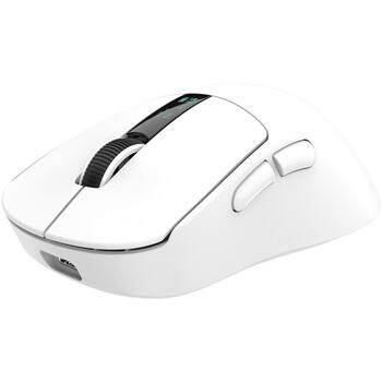 White Shark Мышь GAWAIN-W, 500mAh, 12000DPI, 56g, 5 кнопок, зарядка USB-C, Bluetooth 5.2, RF 2.4 GHz (GAWAIN-W)